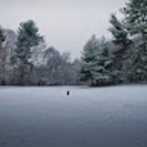 Meet your Posher, Liang-pin